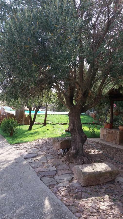 Mores Agriturismo Sa E Padedda מראה חיצוני תמונה