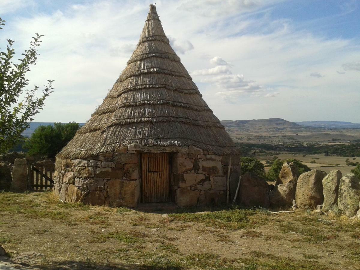 Mores Agriturismo Sa E Padedda מראה חיצוני תמונה