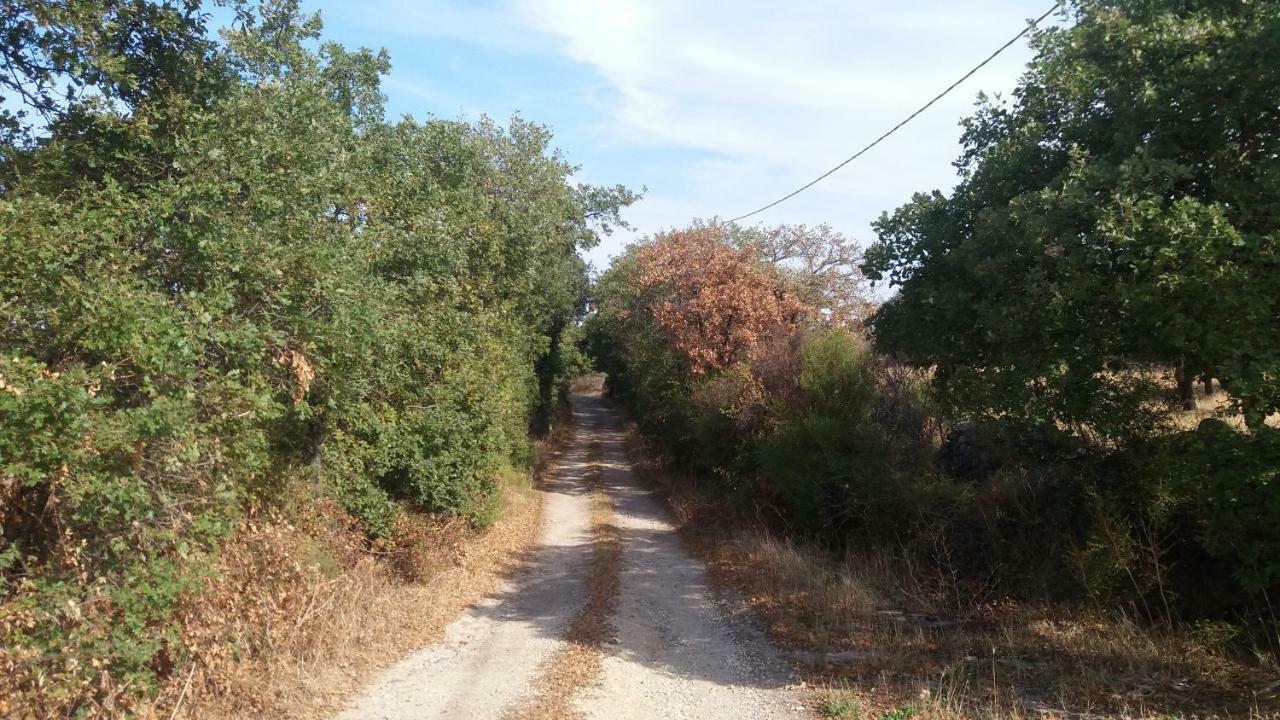 Mores Agriturismo Sa E Padedda מראה חיצוני תמונה