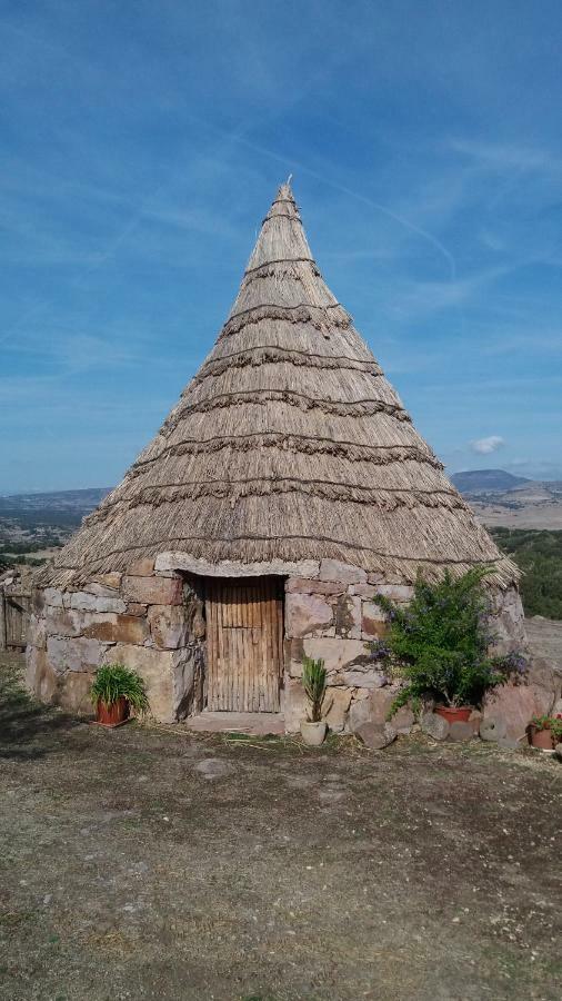Mores Agriturismo Sa E Padedda מראה חיצוני תמונה