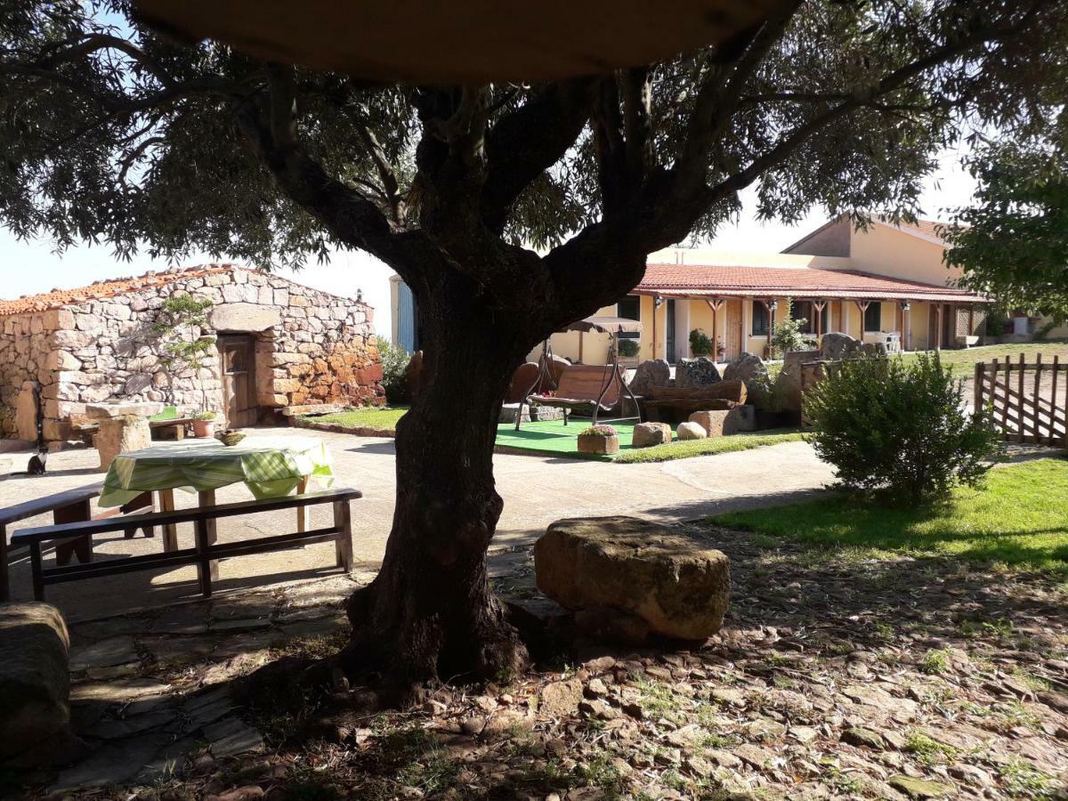Mores Agriturismo Sa E Padedda מראה חיצוני תמונה